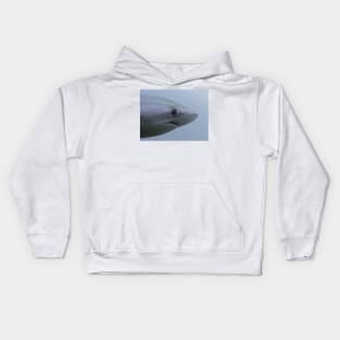 Shy Shark Meme Kids Hoodie